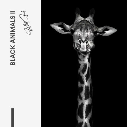 Bundle: "Black Animals" (2x)