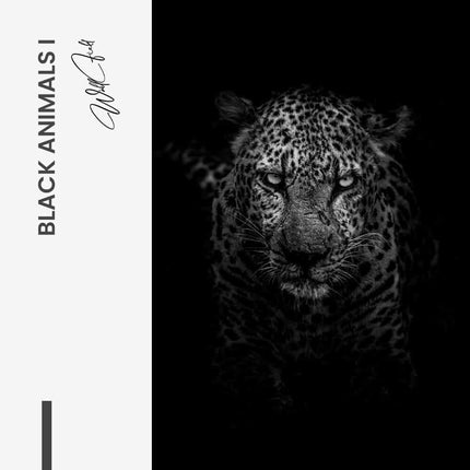 Bundle: "Black Animals" (2x) – Glass
