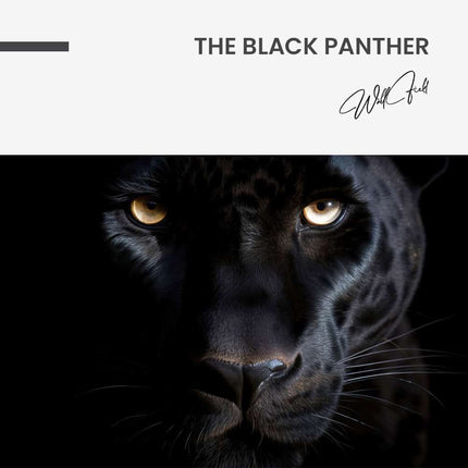 "The Black Panther"