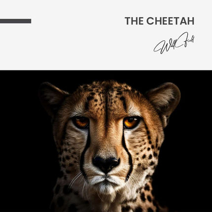 "The Cheetah"