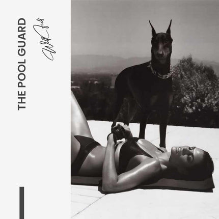 The Pool Guard – Glass