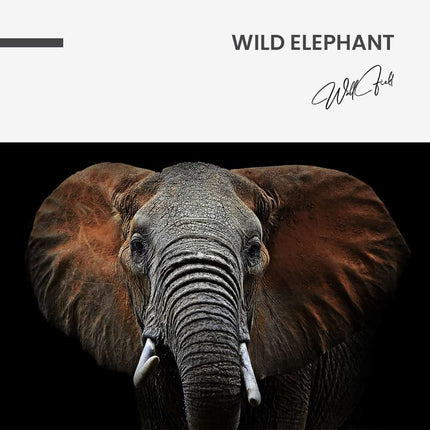 Wild Elephant – Glass