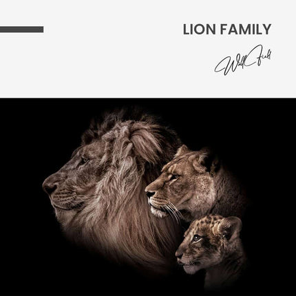 "Lion Family"
