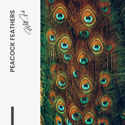 "Peacock Feathers"
