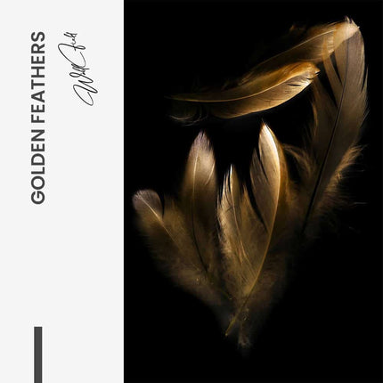 Golden Feathers – Glass