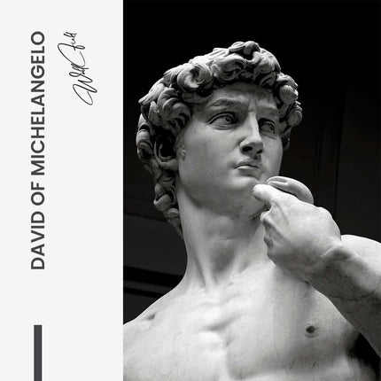 "David of Michelangelo"