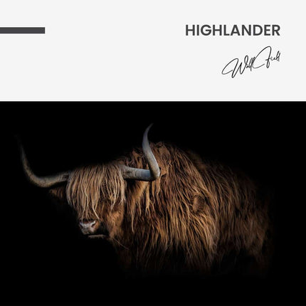 Highlander – Glass