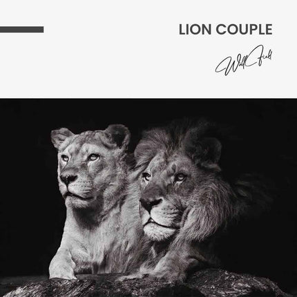 "Lion Couple"