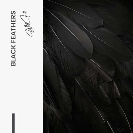 Black Feathers – Glass