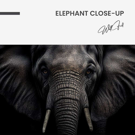 "Elephant Close-Up"