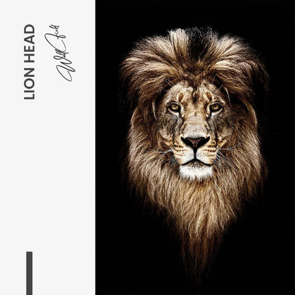 Lion Head – Glass