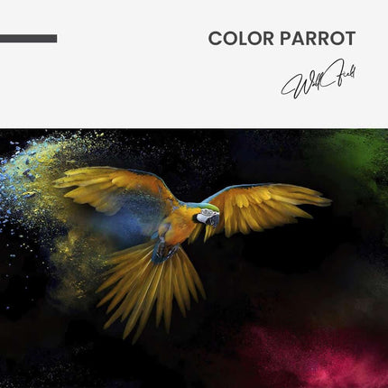 Color Parrot – Glass