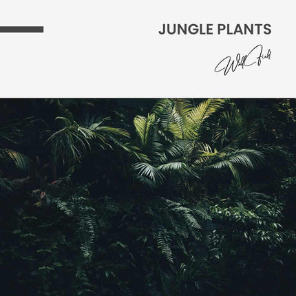 Jungle plants – Glass