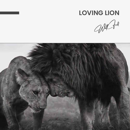 "Loving Lion"