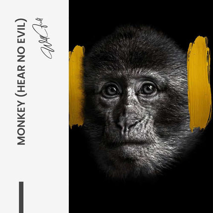 Monkey (hear no evil) – Glass