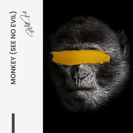 Monkey (see no evil) – Glass