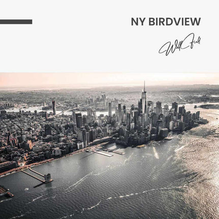 NY Birdview – Glass