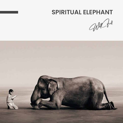 Spiritual Elephant – Glass