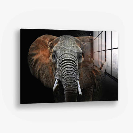 Wild Elephant – Glass