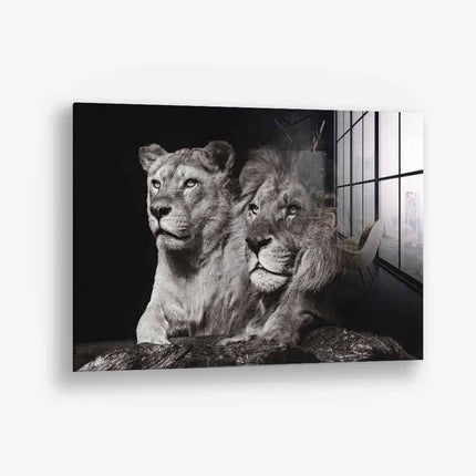 Lion Couple – Glass