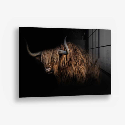 Highlander – Glass