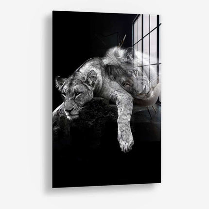 Lion Love – Glass