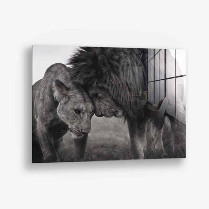 Loving Lion – Glass