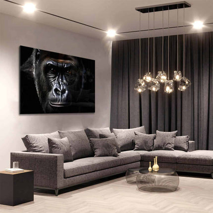 The Gorilla – Glass