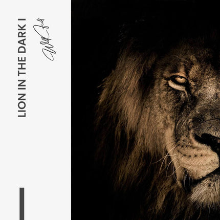 Lion in the Dark (2x) – Glass