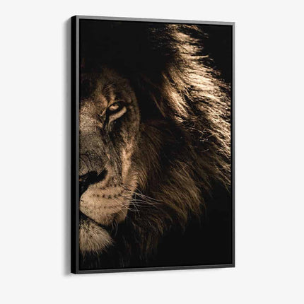 Bundle: Lion in the Dark (2x)