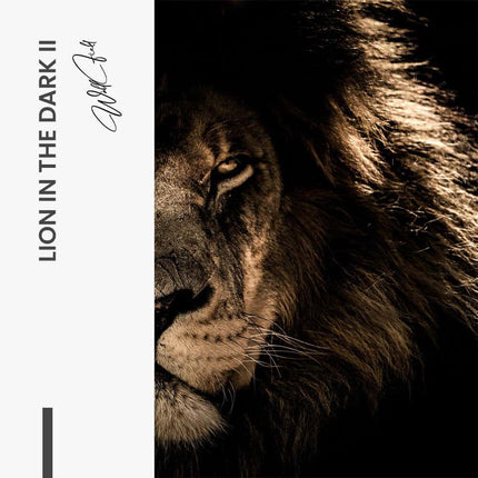 Lion in the Dark (2x) – Glass
