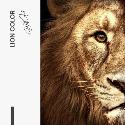 Bundle: "Lion & Lioness Color" (2x)