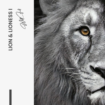 Bundle: "Lion & Lioness" (2x) – Glass