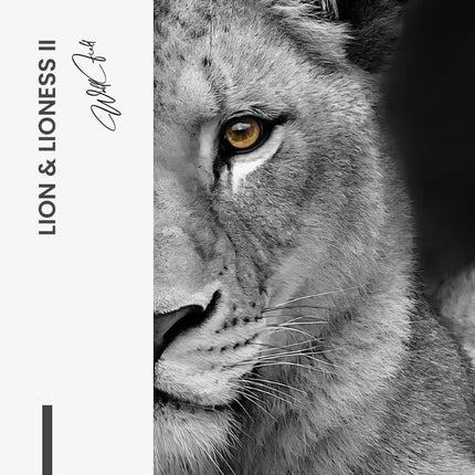 Bundle: "Lion & Lioness" (2x)