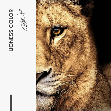 Bundle: "Lion & Lioness Color" (2x) – Glass