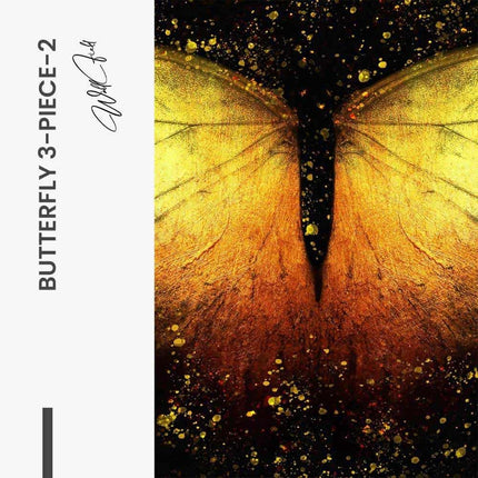 Bundle: "Butterfly 3-Piece" (3x)