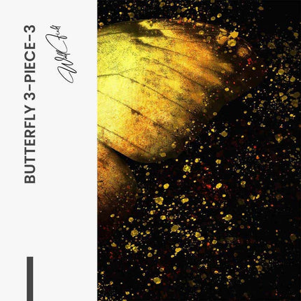 Bundle: "Butterfly 3-Piece" (3x)