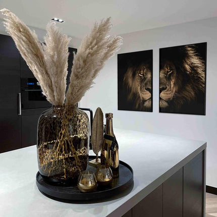 Bundle: Lion in the Dark (2x)