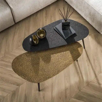 Coffee Table set/2 niervormig metallic / Gray